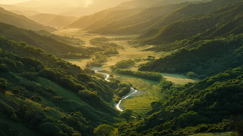 AI image | Midjourney 7